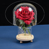 Maxbell Galaxy Rose Flower In Dome Glass LED Night Light Valentines Day Decor Gift