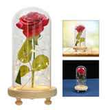 Maxbell Galaxy Rose Flower In Dome Glass LED Night Light Valentines Day Decor Gift