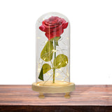 Maxbell Galaxy Rose Flower In Dome Glass LED Night Light Valentines Day Decor Gift