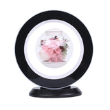 Maxbell Levitating Air Preserved Flower Light up LED Light Magnetic Bonsai Black