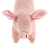 Maxbell Pig Shape Pet Dog Puppy Cotton Chew Toy Tooth Cleaning Exercise Toy Small