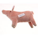 Maxbell Pig Shape Pet Dog Puppy Cotton Chew Toy Tooth Cleaning Exercise Toy Small