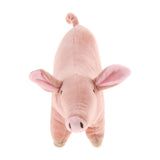 Maxbell Pig Shape Pet Dog Puppy Cotton Chew Toy Tooth Cleaning Exercise Toy Small
