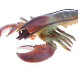 Maxbell 9 Inch Realistic Marine Animal Model Figurines Cyan Lobster Action Figure Toy for Kids, Science Educational Toy, Collection