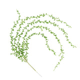 Maxbell Artificial Hanging String of Pearls Plants, Party Wedding Decoration Vine Plants (82cm Length)
