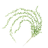 Maxbell Artificial Hanging String of Pearls Plants, Party Wedding Decoration Vine Plants (82cm Length)