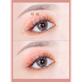 Maxbell Portable 6 Color Butterfly Eyeshadow Palette Shimmer Matte Chocolate Mousse