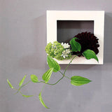 Maxbell Modern Wall Planter Plant Hanger Hanging for Air Plants Black 30x20x4.5cm