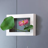 Maxbell Modern Wall Planter Plant Hanger Hanging for Air Plants Black 30x20x4.5cm