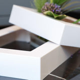 Maxbell Modern Wall Planter Plant Hanger Hanging for Air Plants Black 30x20x4.5cm