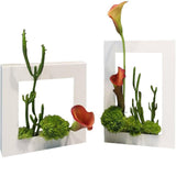 Maxbell Modern Wall Planter Plant Hanger Hanging for Air Plants Black 30x20x4.5cm