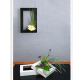 Maxbell Modern Wall Planter Plant Hanger Hanging for Air Plants Black 30x20x4.5cm