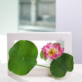 Maxbell Modern Wall Planter Plant Hanger Hanging for Air Plants Black 30x20x4.5cm