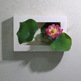 Maxbell Modern Wall Planter Plant Hanger Hanging for Air Plants Black 30x20x4.5cm