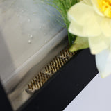 Maxbell Modern Wall Planter Plant Hanger Hanging for Air Plants Black 30x20x4.5cm