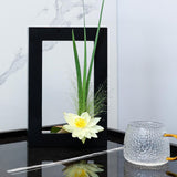 Maxbell Modern Wall Planter Plant Hanger Hanging for Air Plants Black 30x20x4.5cm