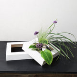 Maxbell Modern Wall Planter Plant Hanger Hanging for Air Plants Black 30x20x4.5cm