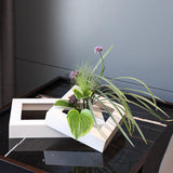 Maxbell Modern Wall Planter Plant Hanger Hanging for Air Plants Black 30x20x4.5cm