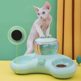 Maxbell 2 in 1 Automatic Pets Water Food Bowls Dogs Water Dispenser for Puppy Kitten Green