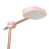 Maxbell Bright LED Desk Lamp USB Charging Bedside Table Light for Office Bedroom Pink