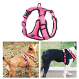 Maxbell Reflective Dog Harness No Pull Vest Rope for Running Outdoor Lead Walking Pink XL