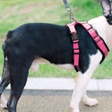 Maxbell Reflective Dog Harness No Pull Vest Rope for Running Outdoor Lead Walking Pink XL