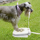 Maxbell Dog Drinking Water Fountain Outdoor Garden Step On Pet Sprinkler Dispenser