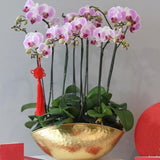 Maxbell Flower Pots Container Holder Succulent Flowerpot Delicate for Indoor Outdoor