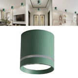 Maxbell Cylinder Ceiling Light LED Downlight Fixtures Office Bedroom Lighting Green