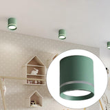 Maxbell Cylinder Ceiling Light LED Downlight Fixtures Office Bedroom Lighting Green