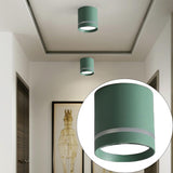 Maxbell Cylinder Ceiling Light LED Downlight Fixtures Office Bedroom Lighting Green