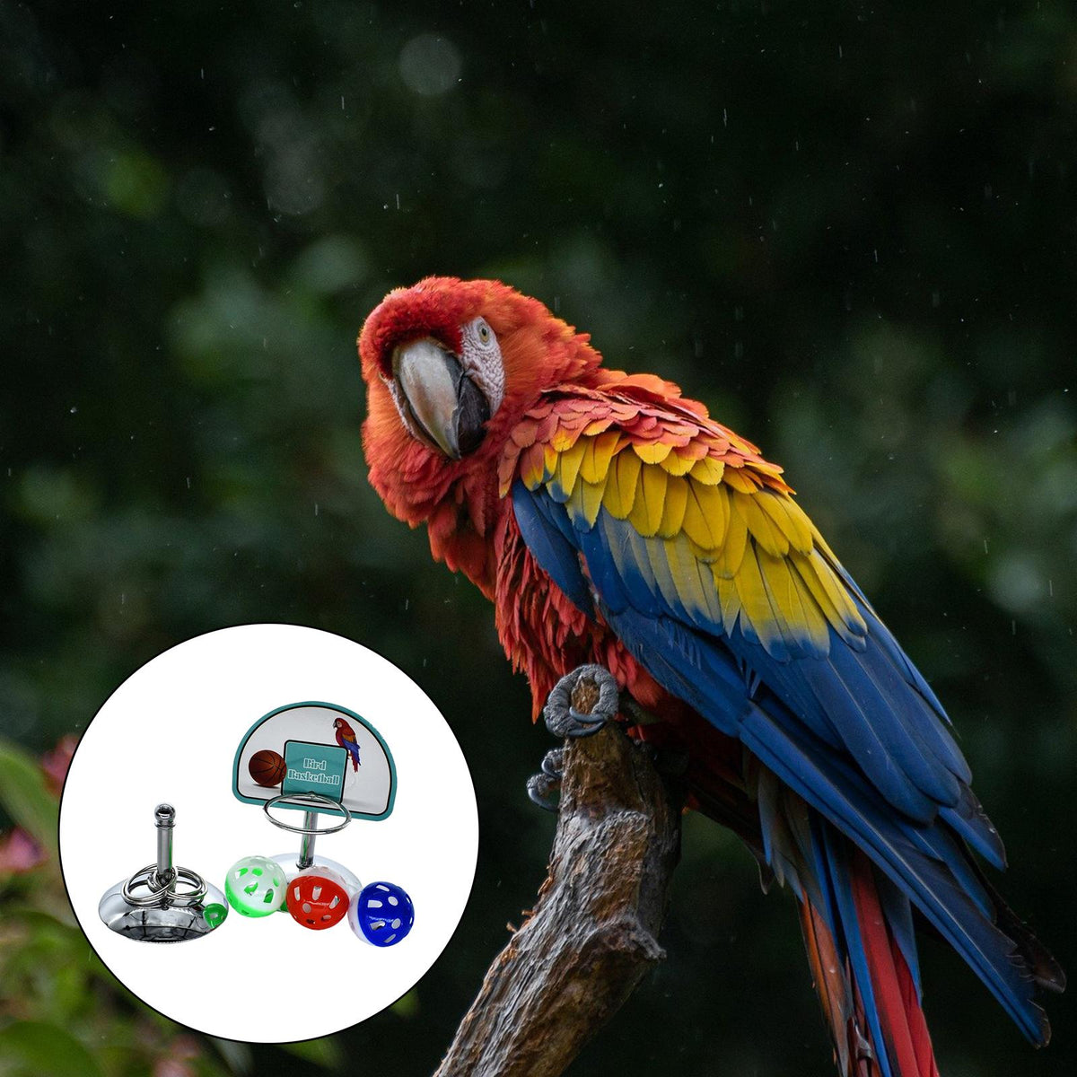 Maxbell Parrot Intelligence Toy Bird Training Toys for Lovebird Parakeet Budgie