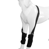 Maxbell Dog Support Brace Pet Leg Joint Wrap for Loss of Stability from Arthritis S