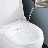 Maxbell Sitz Bath Over The Toilet Squat Free Toilet Seat for Pregnant Women White