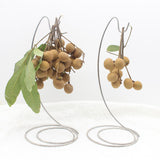 Maxbell Stainless Steel Banana Tree Stand Hook Creative Rack Stable for Home Decor