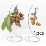Maxbell Stainless Steel Banana Tree Stand Hook Creative Rack Stable for Home Decor