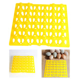 Maxbell Farm Egg Container Long Distance Transport Breathable Plastic Egg Holder Yellow