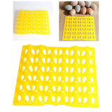 Maxbell Farm Egg Container Long Distance Transport Breathable Plastic Egg Holder Yellow