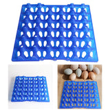 Maxbell Farm Egg Container Long Distance Transport Breathable Plastic Egg Holder Blue