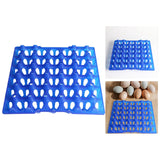 Maxbell Farm Egg Container Long Distance Transport Breathable Plastic Egg Holder Blue