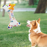 Maxbell Dog Large Birthday Cake, Bone, Present Squeaky Plush Toy Bone