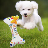 Maxbell Dog Large Birthday Cake, Bone, Present Squeaky Plush Toy Bone