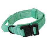 Maxbell Nylon Dog Collar Training Collar for Puppy Small Medium Large Dogs L Green