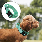 Maxbell Nylon Dog Collar Training Collar for Puppy Small Medium Large Dogs L Green