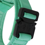 Maxbell Nylon Dog Collar Training Collar for Puppy Small Medium Large Dogs L Green