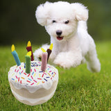 Maxbell Dog Large Birthday Cake, Bone, Present Squeaky Plush Toy Cake