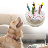 Maxbell Dog Large Birthday Cake, Bone, Present Squeaky Plush Toy Cake