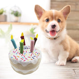 Maxbell Dog Large Birthday Cake, Bone, Present Squeaky Plush Toy Cake