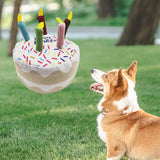 Maxbell Dog Large Birthday Cake, Bone, Present Squeaky Plush Toy Cake