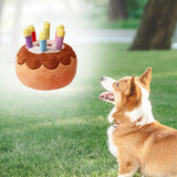 Maxbell Dog Large Birthday Cake, Bone, Present Squeaky Plush Toy Small Cake